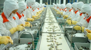 水産加工食品製造業