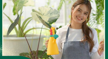 NÔNG NGHIỆP TRỒNG TRỌT