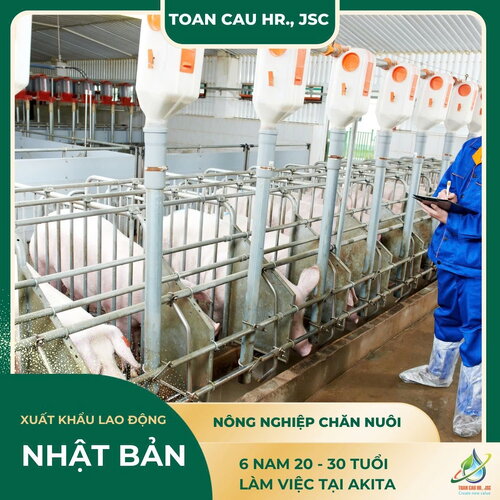 NÔNG NGHIỆP CHĂN NUÔI