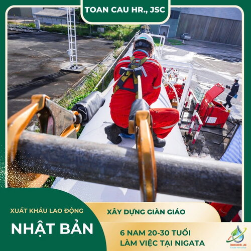 ĐƠN HÀNG DỰNG GIÀN GIÁO