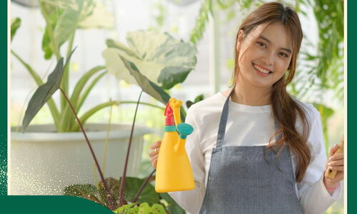 NÔNG NGHIỆP TRỒNG TRỌT