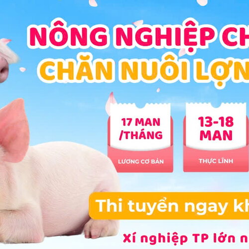 ĐƠN HÀNG NÔNG NGHIỆP CHĂN NUÔI